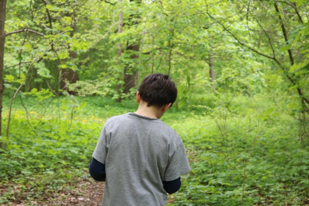 Pflanzenbestimmung an den&nbsp;Isarauen