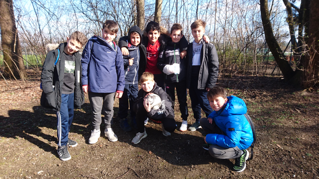 Der Ball bleibt&nbsp;rund