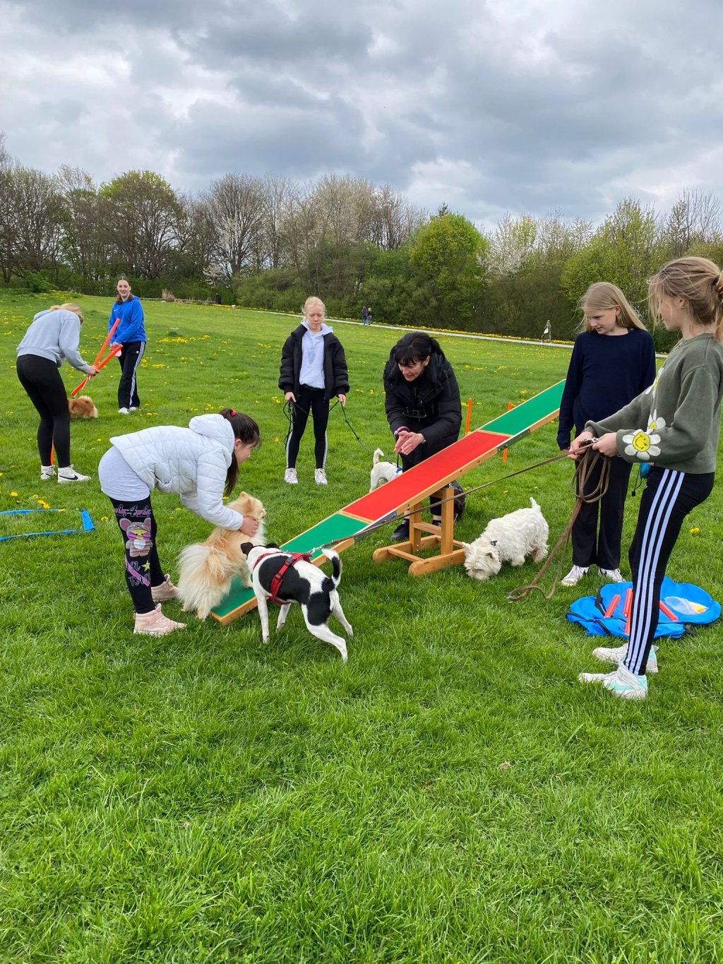Demokratische Mitbestimmung – Mobiler&nbsp;Hundespielplatz