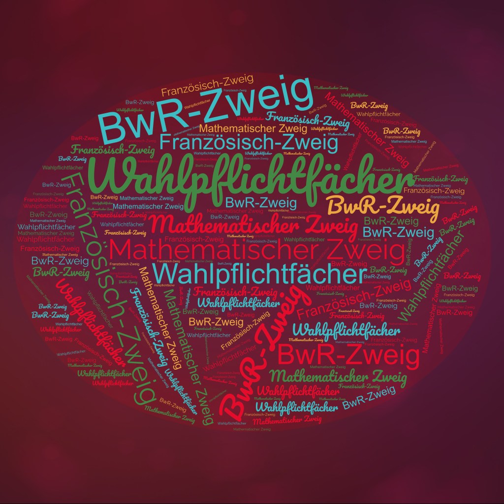 Infoabend zu den Wahlpflichtfächern