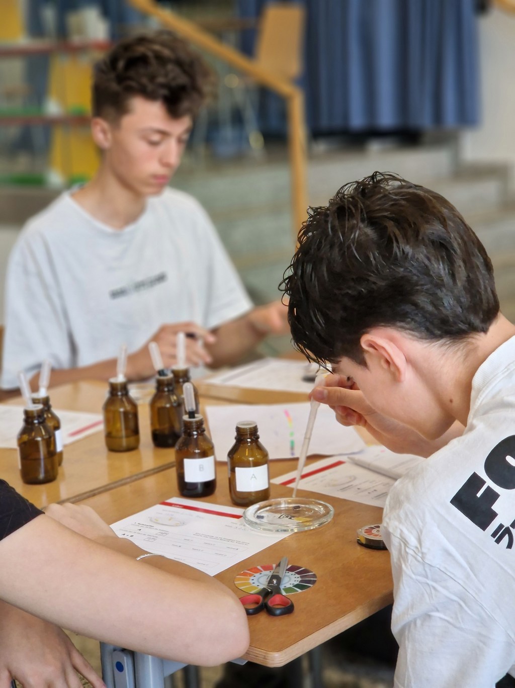 Profilwerkstatt in der 8.&nbsp;Jahrgangsstufe